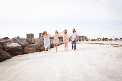 ecliptic_becca-fam_04