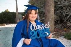 ecliptic_lauren_2025_03