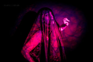 Photography - Ecliptic Designs - Noir Cherry - Studio - goth
