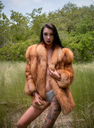 Photography - Ecliptic Designs - Brittany - fur