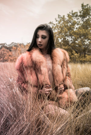 Photography - Ecliptic Designs - Brittany - fur